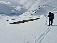 risvollhilde_20250609_68473fbf3934b.jpg