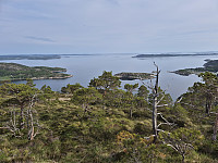 risvollhilde_20250615_684ebfdc6be1e.jpg