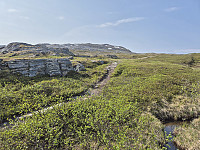 risvollhilde_20250615_684eca136dc5b.jpg