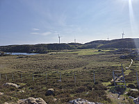 risvollhilde_20250615_684eca7b0fc03.jpg