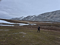 Behagelig gange et par kilometer inn til foten av fjellet