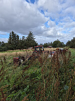 risvollhilde_20250824_68ab64cf37ab3.jpg