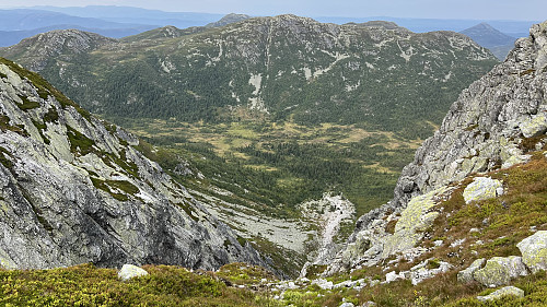 Står på toppen av kløfta og ser ned på Londalen