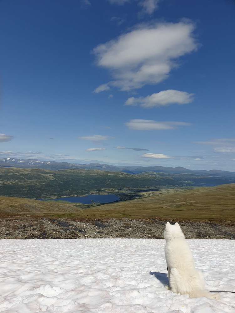 En som elsker snø