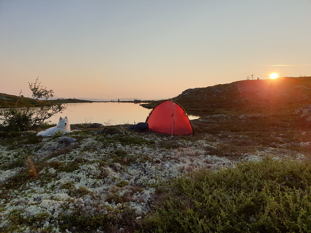 Teltet er oppe og sola er i ferd med å bli borte bak åsen