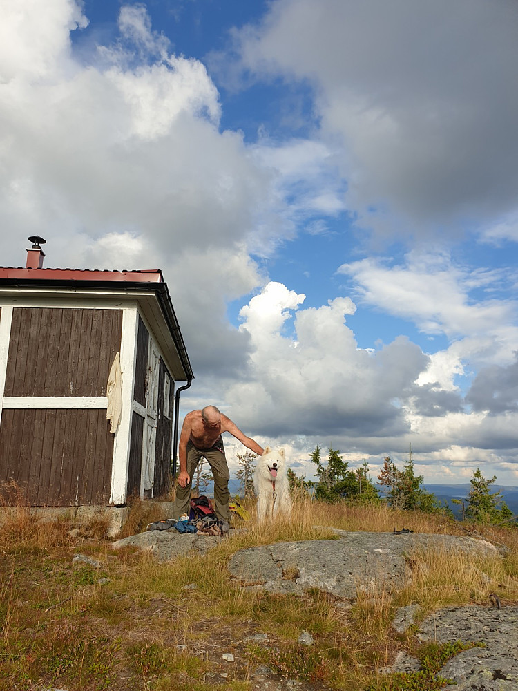 Klestørk ved hytta