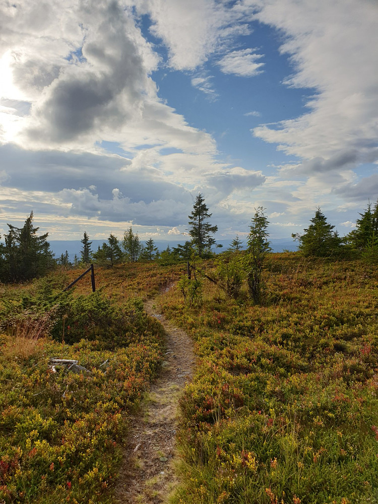 Høstfargene er i ferd med å innta Deifjellet