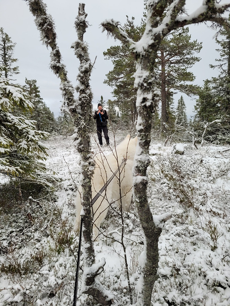 Topp nr. 2: Kvilåsen