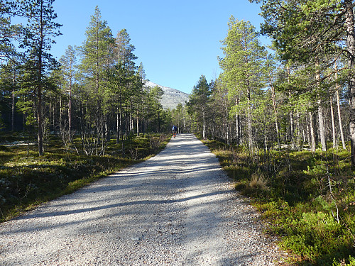 Utgangspunktet er Gammelgarden, hvor vi følger veien som går til Bjørnhollia, cirka en kilometer