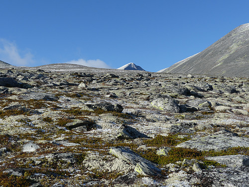 Høgronden dukker opp, med Storsvulten til høyre