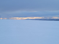 johanne_20220206_620000b7831d7.jpg