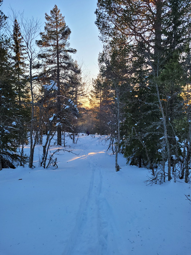 Utsikt fra "toppen"
