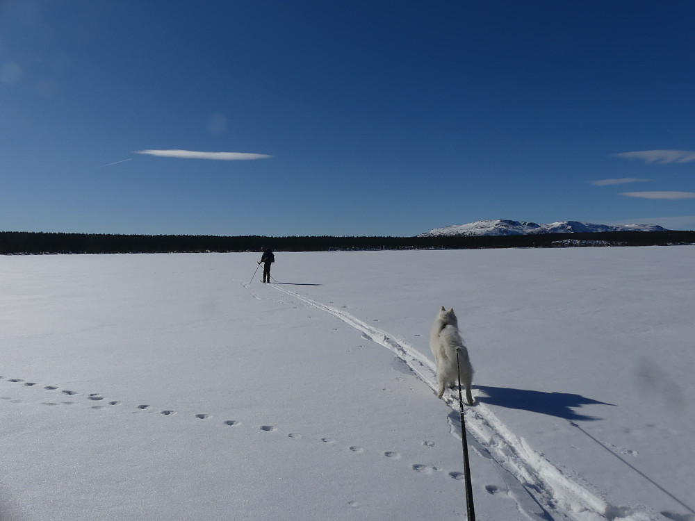 Flott dag i Engerdals fjellheim