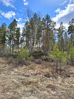 johanne_20220522_628a3086099e7.jpg