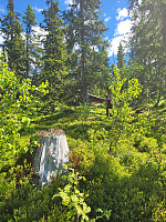johanne_20220619_62af35e7af019.jpg