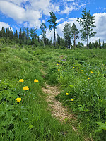 johanne_20220619_62af35e8ee613.jpg