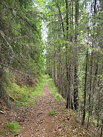 johanne_20220619_62af35e98d70a.jpg