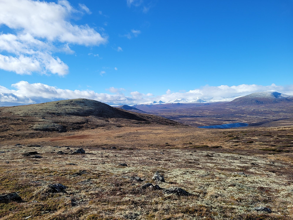 Vi ser Armodshøkollen med kvite fjell i det fjerne.