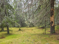 johanne_20221022_6353daf49d7f8.jpg