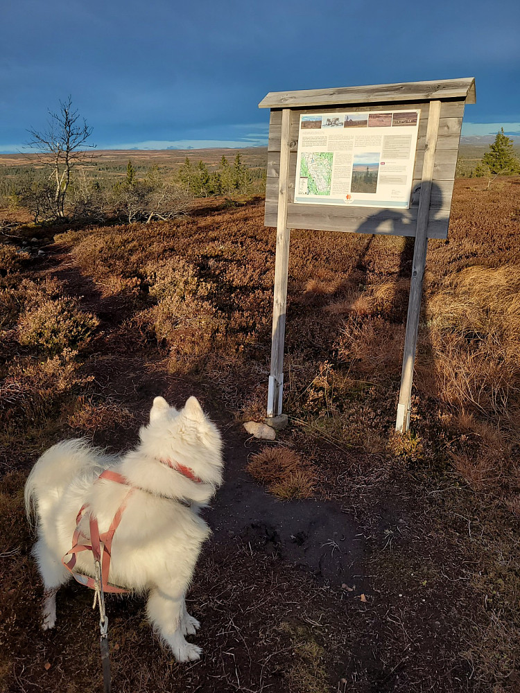 Hemmeldalen Naturreservat