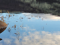johanne_20221113_6370d86ee0ef5.jpg