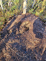 johanne_20221113_6370d870ecde8.jpg