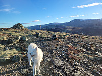 johanne_20221113_6370d87211191.jpg