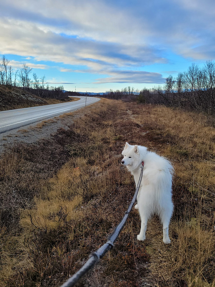 Den kjedelige biten; En liten km ved og langs med E6'n