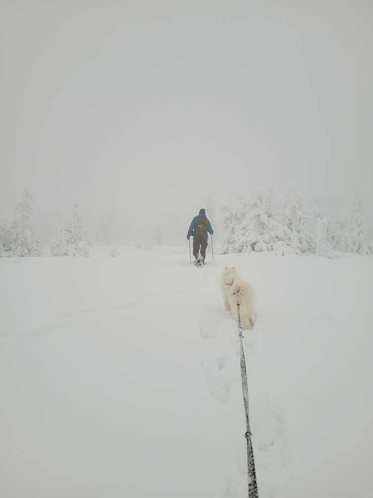 Vi legger avgårde i tåke og djupsnø