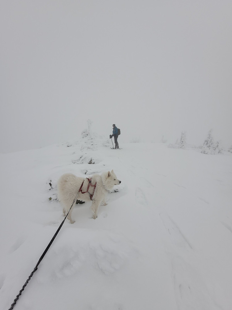 Ved toppvarden, hvor FYSAK-boka skiftes ut