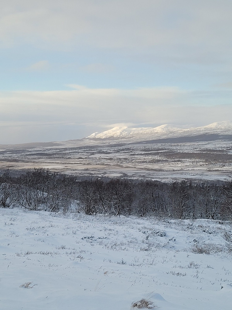 Det er lite snø på Fokstumyra. Grønsæterhøe i bakgrunnen