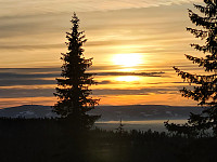 johanne_20230128_63d5971f10994.jpg