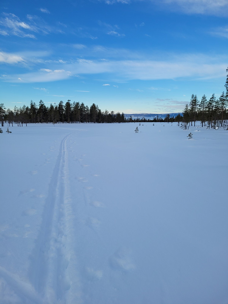 Noen har krysset Stenmyra