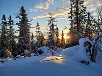 johanne_20230204_63de8a73f1873.jpg