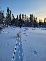 johanne_20230204_63de8a7473d2a.jpg