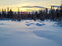 johanne_20230204_63de8a74e3336.jpg