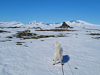 johanne_20230423_644525cc5a2ed.jpg