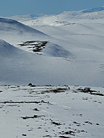 johanne_20230423_644525cccdf50.jpg