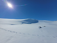 johanne_20230423_644525cdb08ec.jpg
