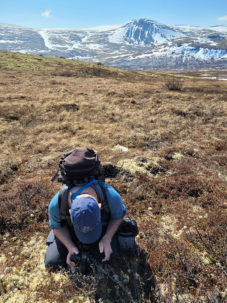 Arne har fått øye på en fin sommerfugl som må fotograferes
