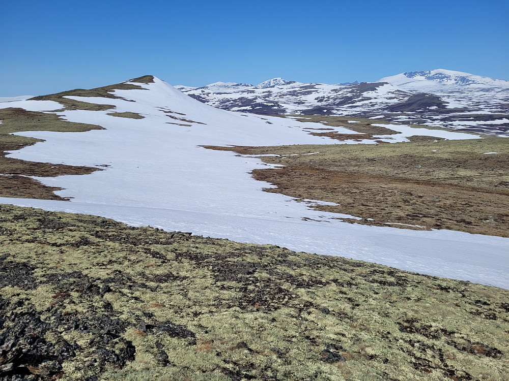 Snøhetta dukker opp i det fjerne. En av Vålåsjøhøene til venstre