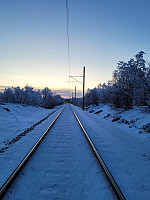 johanne_20231119_6559bdfc535b0.jpg