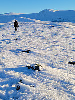 johanne_20231119_6559be06ec0fe.jpg
