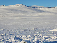 johanne_20231119_6559be08b9b7a.jpg