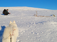 johanne_20231119_6559be0a2c969.jpg