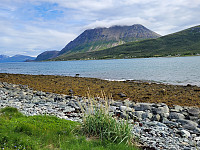 johanne_20231119_655a20fcf0d1b.jpg