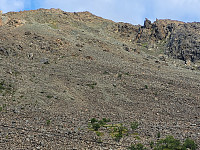 johanne_20231119_655a2108477d1.jpg