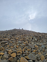 johanne_20231119_655a2154443a2.jpg