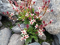 johanne_20240827_66cde6860fda2.jpg