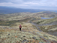 johanne_20240827_66cde686867f5.jpg